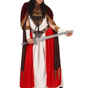 Déguisement costume Viking femme