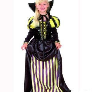 Déguisement costume Princesse noble 4-6 ans