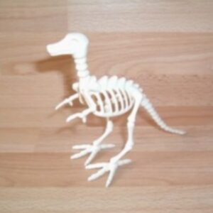 Squelette dinosaure Playmobil