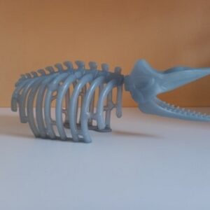 Squelette de baleine Playmobil