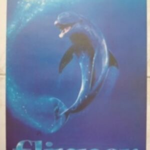 Flipper Poster Film